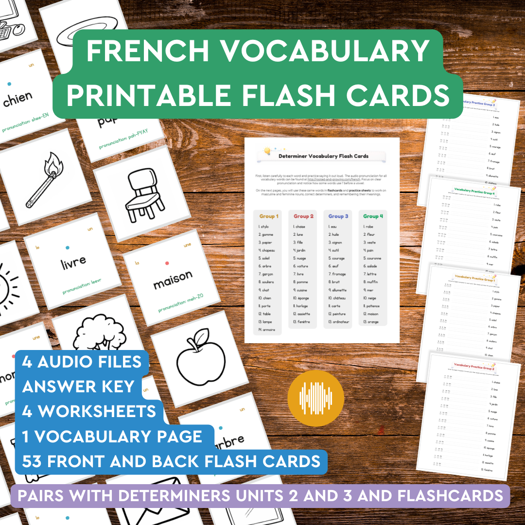 French Determiners Vocabulary Flash Cards & Practice Worksheets