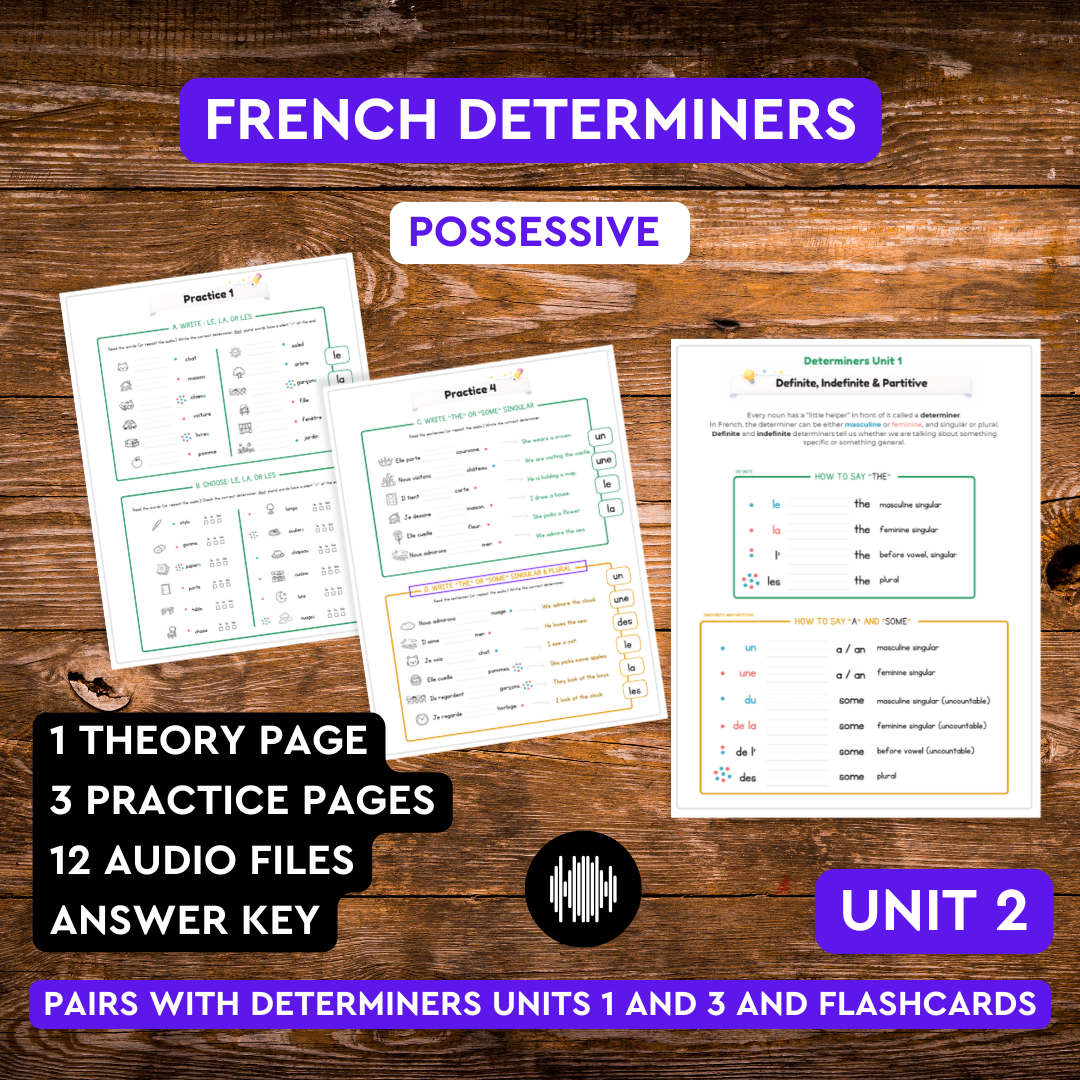 French Possessive Determiners Unit 2. mon ma mes ton ta tes